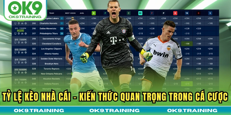 Tỷ Lệ Kèo Nhà Cái | Kiến Thức Quan Trọng Trong Cá Cược 17 Tỷ Lệ Kèo Nhà Cái | Kiến Thức Quan Trọng Trong Cá Cược